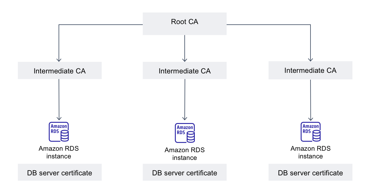 Enterprise-grade TLS Certificate